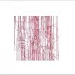 Halbmayer_tenderlines#39_2025_Federzeichnung-Tusche_30x42_0k75.JPG