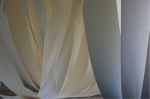 090810_01.jpg