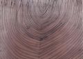 Paschke_bluedaysNr137_2020_Mischtechnik-Karton_20x21_1k1.JPG