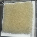 Flaig_Dandelionflaeche_2019_Naturmaterial_22x22cm_0k8.JPG
