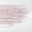 Halbmayer_tenderlines#31_2025_Federzeichnung-Tusche_60x84_1k55.JPG