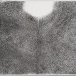 Paschke_Velvet IV-143_2022_Tusche_40x60cm_3k4.JPG